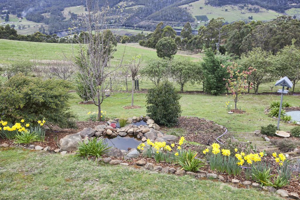 House On The Hill Bed And Breakfast Huonville Esterno foto