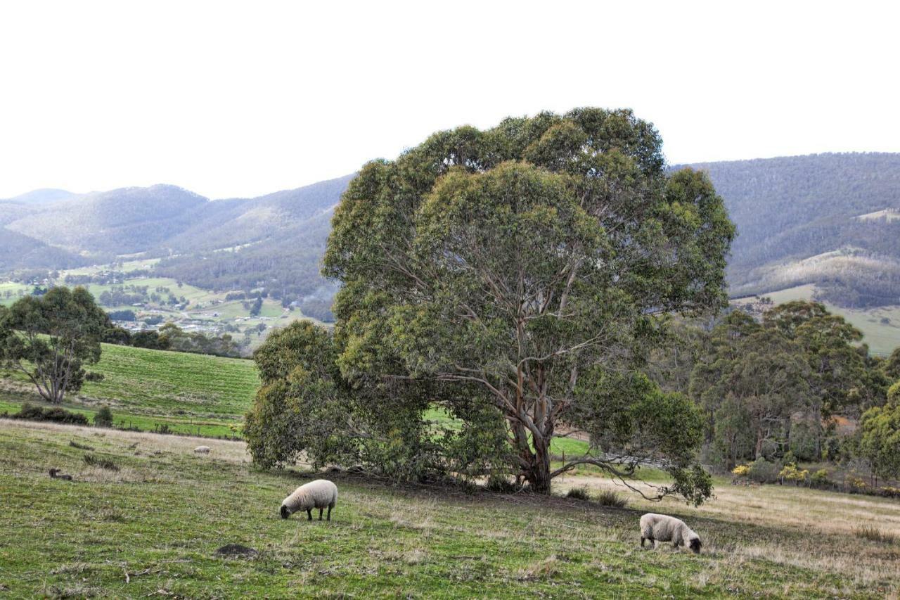 House On The Hill Bed And Breakfast Huonville Esterno foto